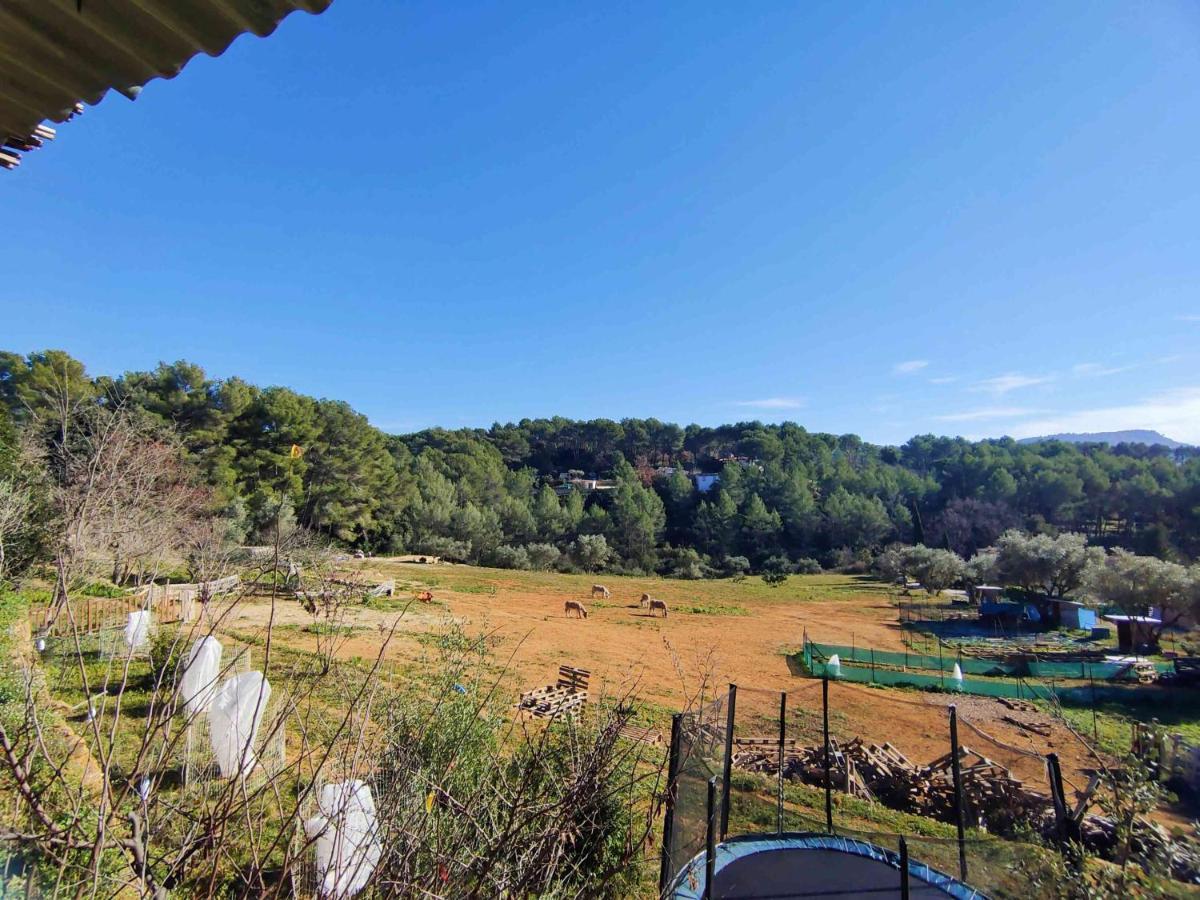 Arche De Noe Atypique, Boheme , Nature, Piscine Chauffee De Paques A Toussaint , Spa , Sauna , Loisirs Le Beausset Exterior foto