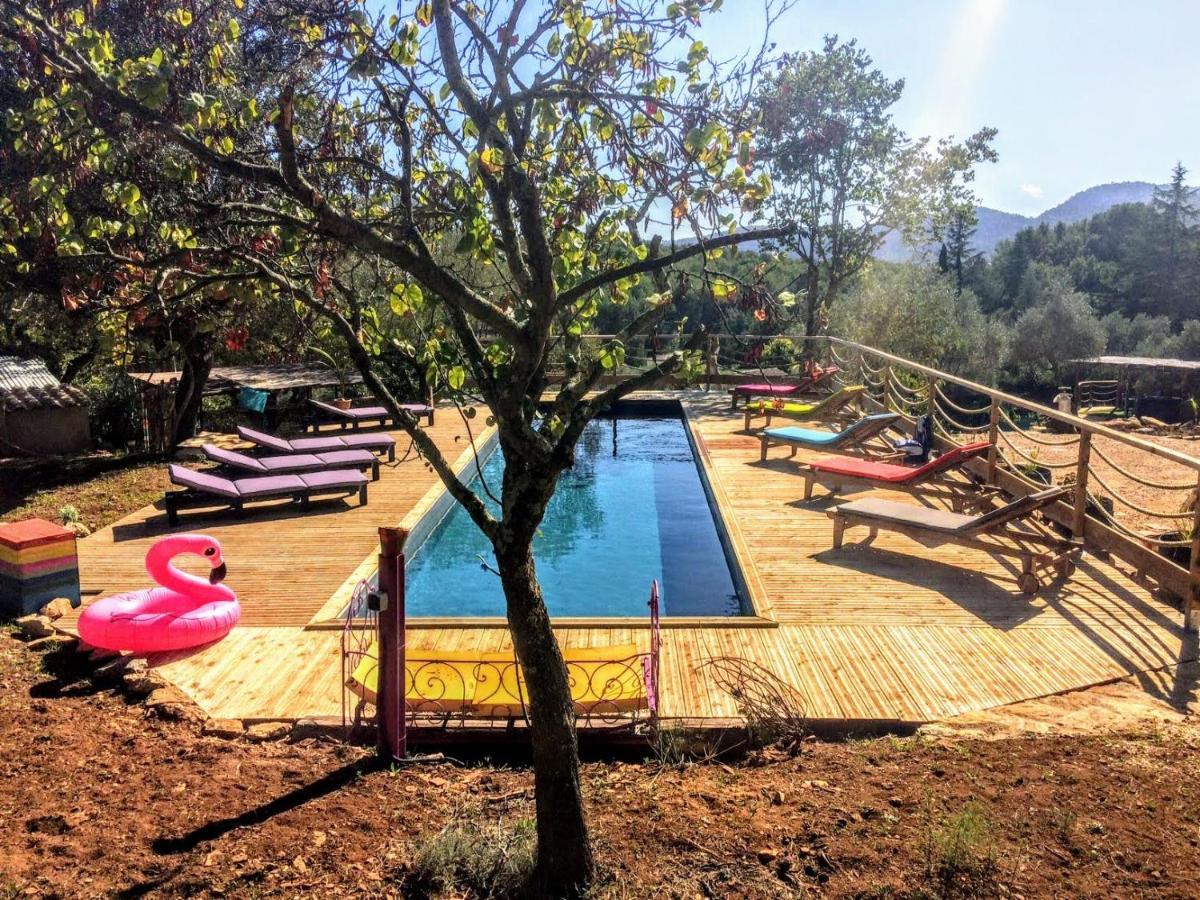 Arche De Noe Atypique, Boheme , Nature, Piscine Chauffee De Paques A Toussaint , Spa , Sauna , Loisirs Le Beausset Exterior foto